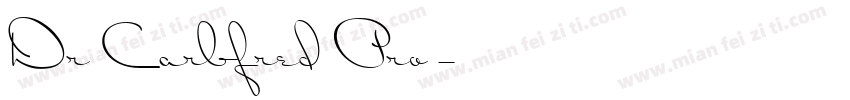 Dr Carbfred Pro字体转换